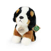 Pluche berner sennenhond 18 cm eco-frien