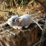 Pluche muis 16 cm eco-vriendelijk | 2 stuks - afbeelding 2