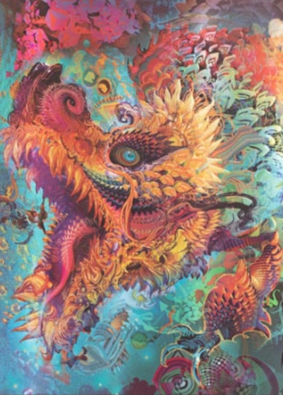 Paperblanks notitieboek midi blanco android jones collection humming dragon (13x18cm)