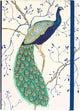 Peter pauper compacte notitieboek - peacock - met elastieksluiting - 13x18 cm