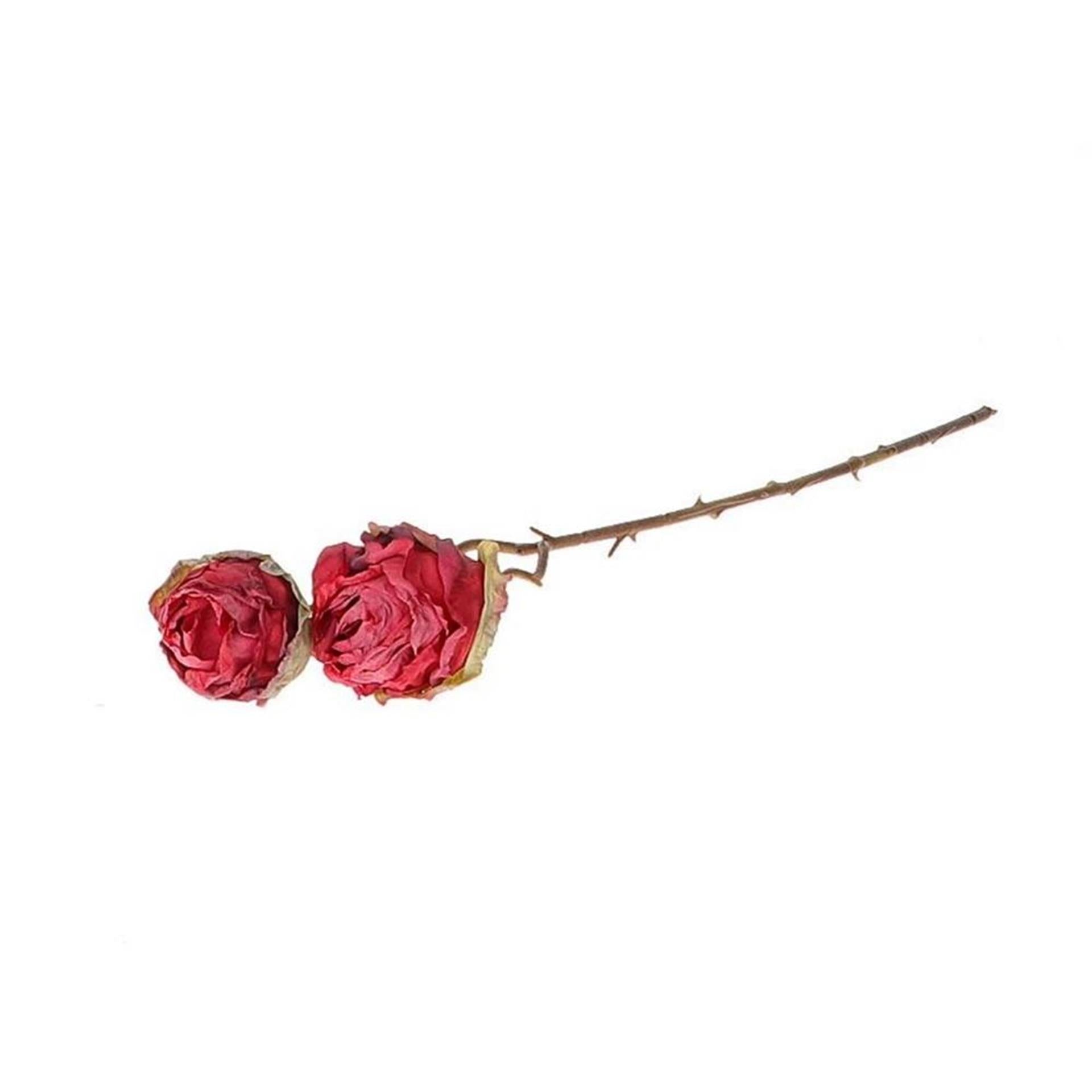 Hbx natural living decotak roos orossy 45cm rood- met dubbele bloemen