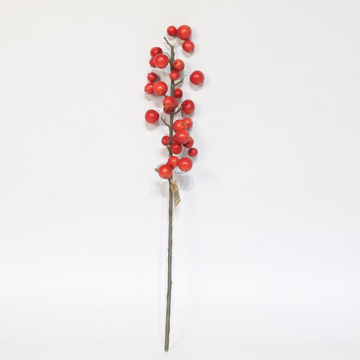 Hbx natural living kunsttak met appeltjes l66cm rood