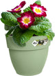 Elho vibia campana easy hanger s 21 - balkonbak met ophanghaken - 100% gerecycled plastic - ø 20.5 x h 26.5 cm - pistachegroen