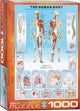 Eurographics - het menselijk lichaam [the human body] - 1000 stukjes 48×68cm (b×h) - legpuzzel