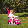 Dolu eenhoorn loopauto met duwstang roze