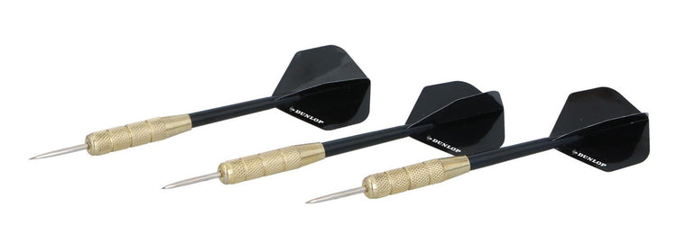 Eddy toys masterdarts darts 20gr op kaart