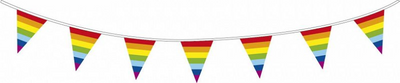 Haza witbaard vlaggenlijn regenboog, 10mtr.