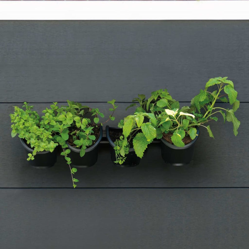 Nature wandtuin voor kruiden en bloemen verticaal