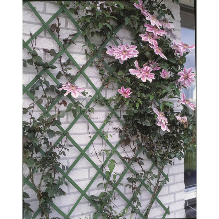Nature plantenklimrek 100x200 cm pvc groen 6040704