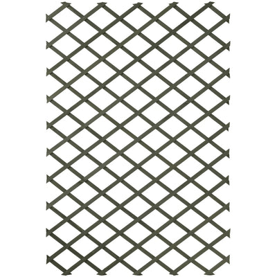 Nature tuinlatwerk 50x150 cm hout groen