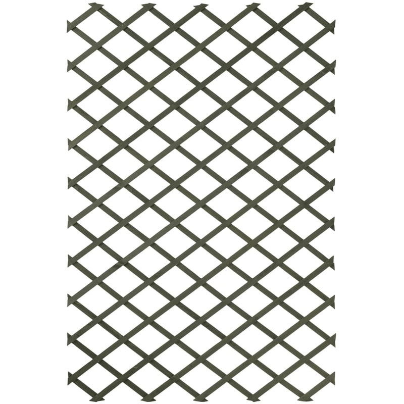 Nature tuinlatwerk 50x150 cm hout groen