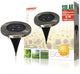 Ranex ra-5000389 ronde led solar grondspot geborsteld rvs glas