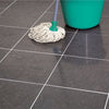 Hg blauwe steen reiniger (product 39)