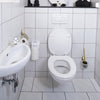 Hg eco toiletruimte reiniger