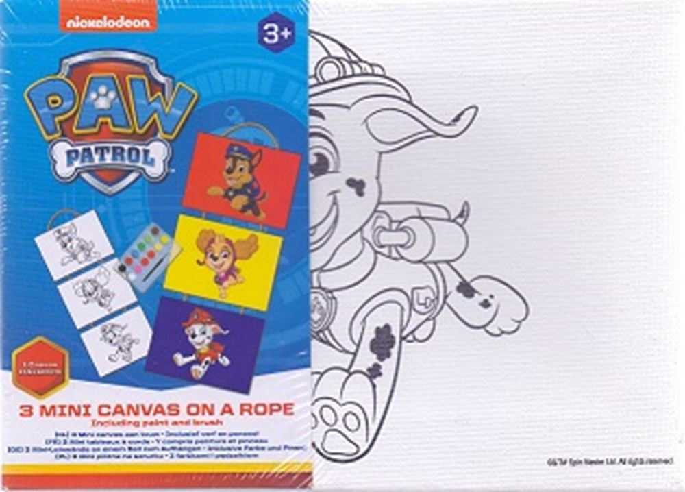 Paw patrol 3 mini canvas aan touw.(12 st