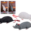 Set animal world rat stretch 3 assortie