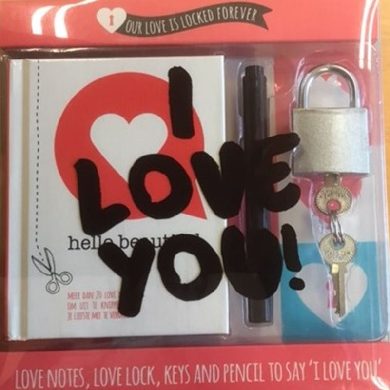 Liefdesbriefjes + slotje (6 st)