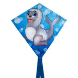 Rhombus junior vlieger 65x65 cm - afbeelding 2