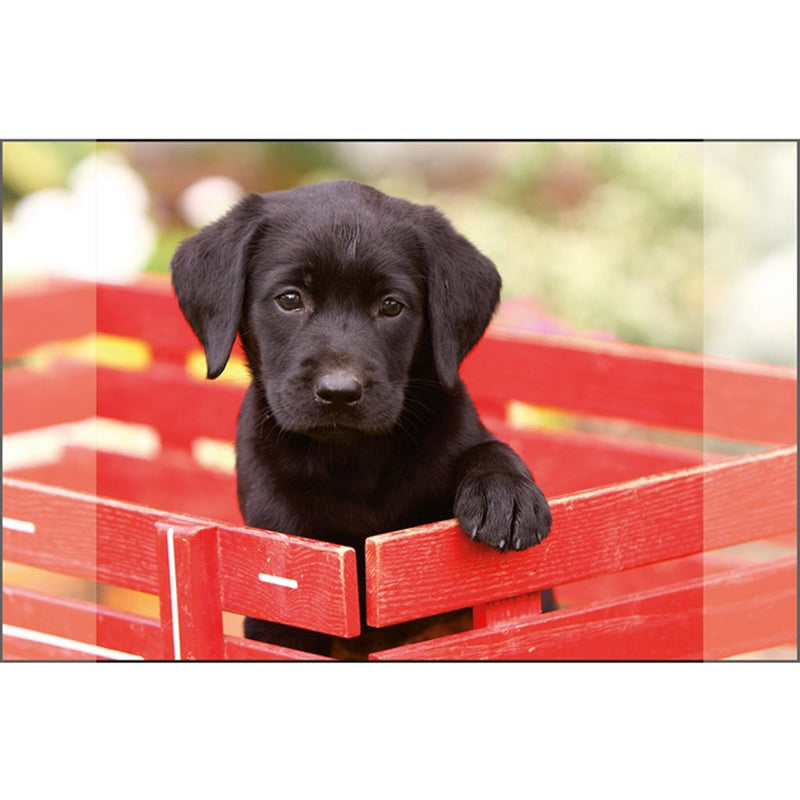 Kangaro bureau onderlegger - 38x58cm - labrador zwart - antislip - met insteekvakken - k-0014d105