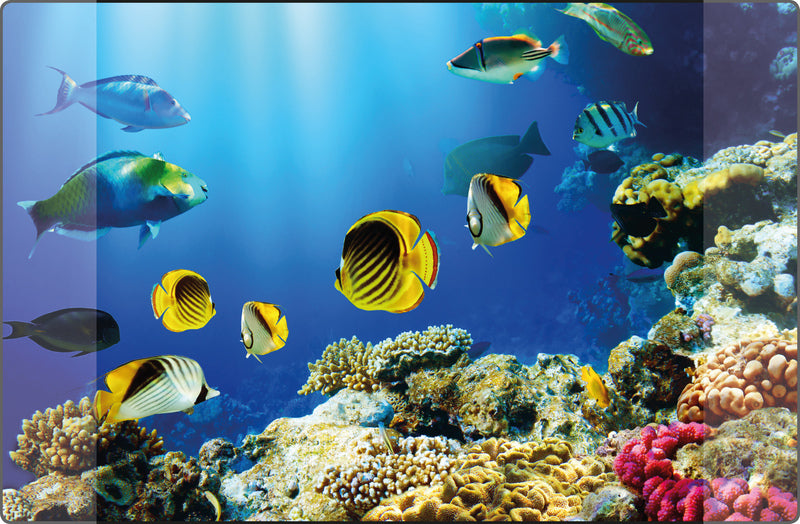 Kangaro bureau onderlegger - 38x58cm - aquarium - antislip - met insteekvakken