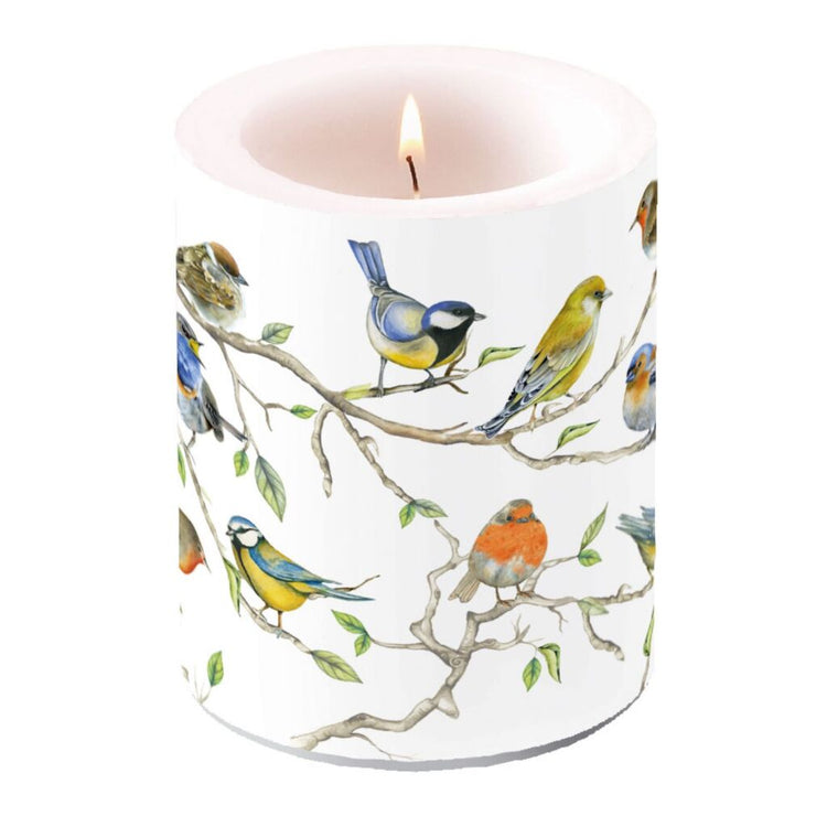 Ambiente Ambiente Kaars Vogels Brand Naar Binnen 75 Branduren