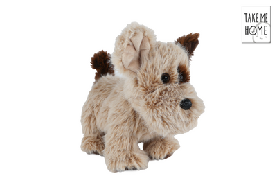 Take me home hond pluche staand 22cm