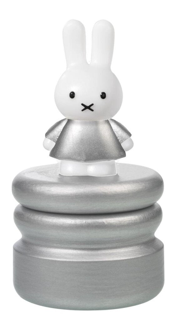 Bambolino toys nijntje melktandendoosje zilver