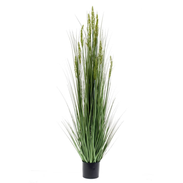 Emerald kunstplant graangras 150 cm