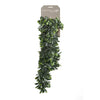 Emerald kunstplant crassula 80 cm