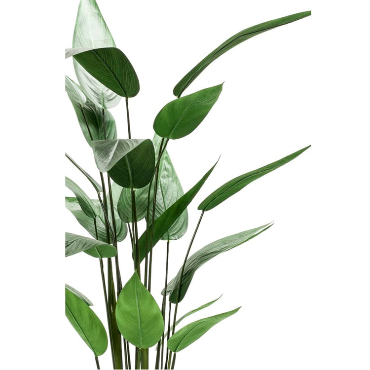 Emerald kunstplant heliconia plant groen 125 cm 419837
