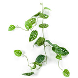 Emerald kunstplantslinger gatenplant 120 cm - afbeelding 1