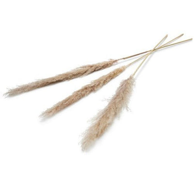 Diversen pampas kunstbloem 150 cm set van 3 naturel