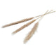 Diversen pampas kunstbloem 150 cm set van 3 naturel