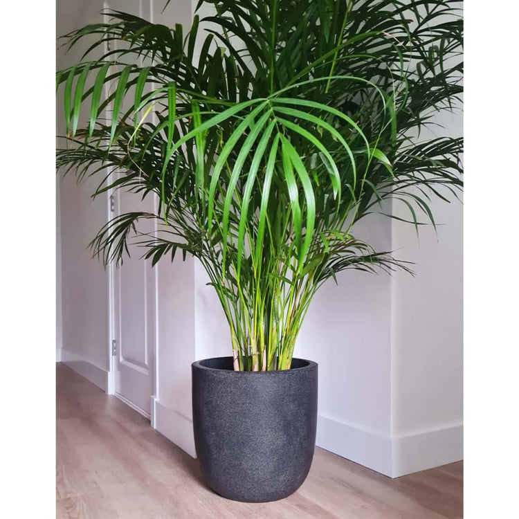 Capi plantenbak waste smooth 43x41 cm grijs