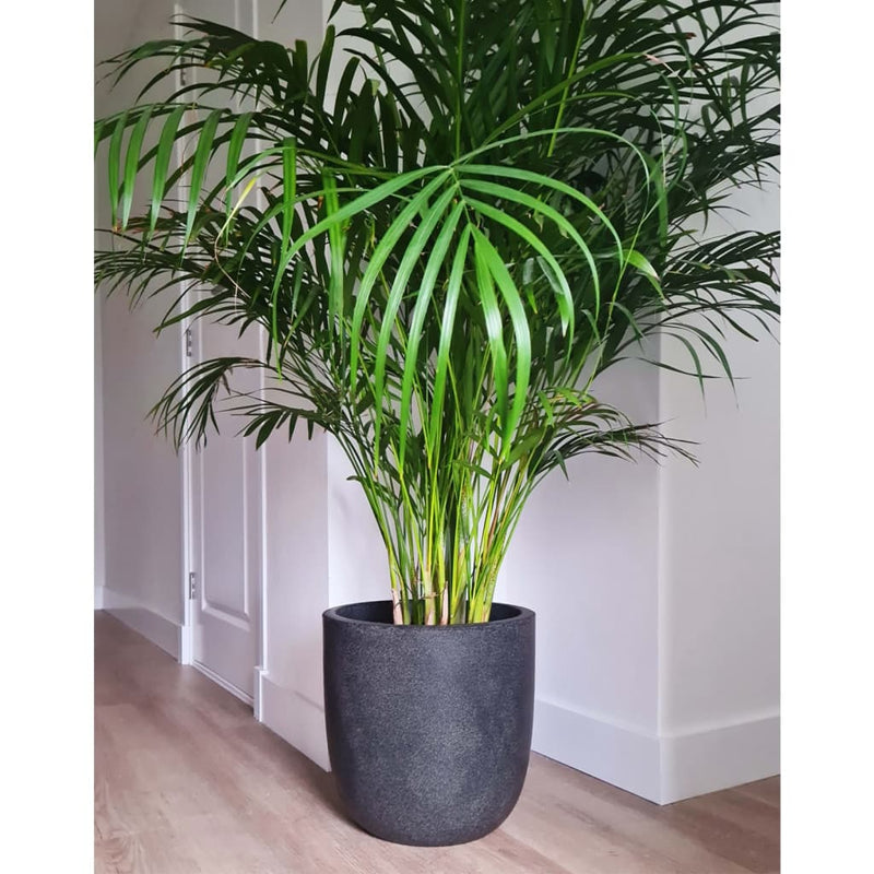 Capi plantenbak waste smooth 43x41 cm grijs