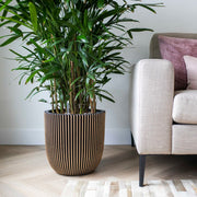 Capi plantenbak groove 43x41 cm zwart en goudkleurig - afbeelding 1