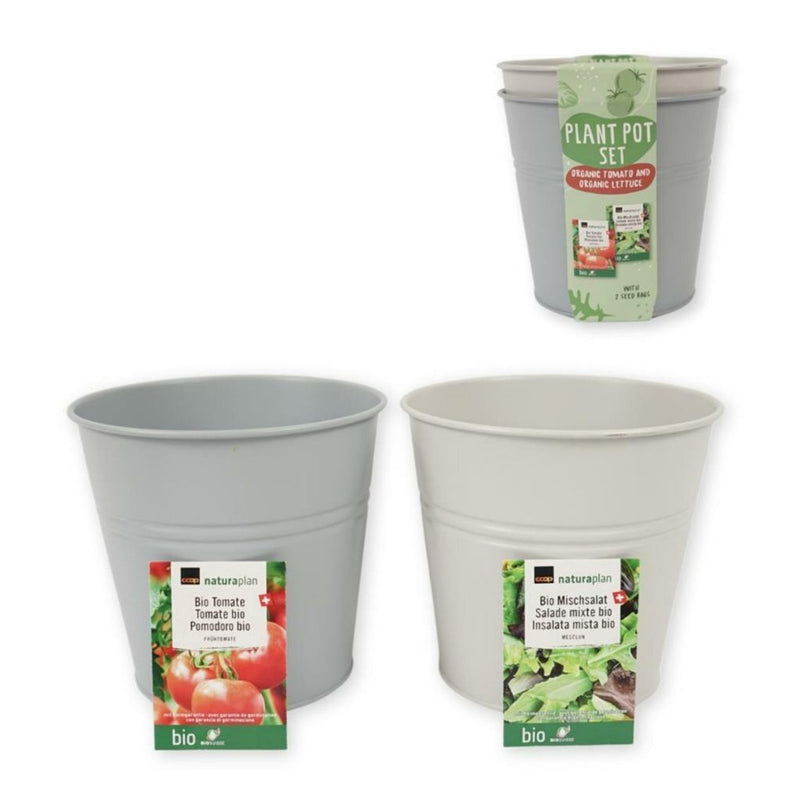 Overige merken kweekset emmer bio tomaten en sla