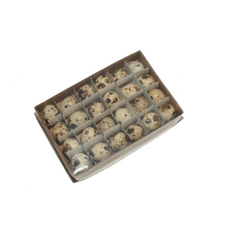 Hbx natural living kwartel eieren doos a 24 stuks