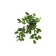 Countryfield kunstplant steker hang peperomia groen l50b30h23cm