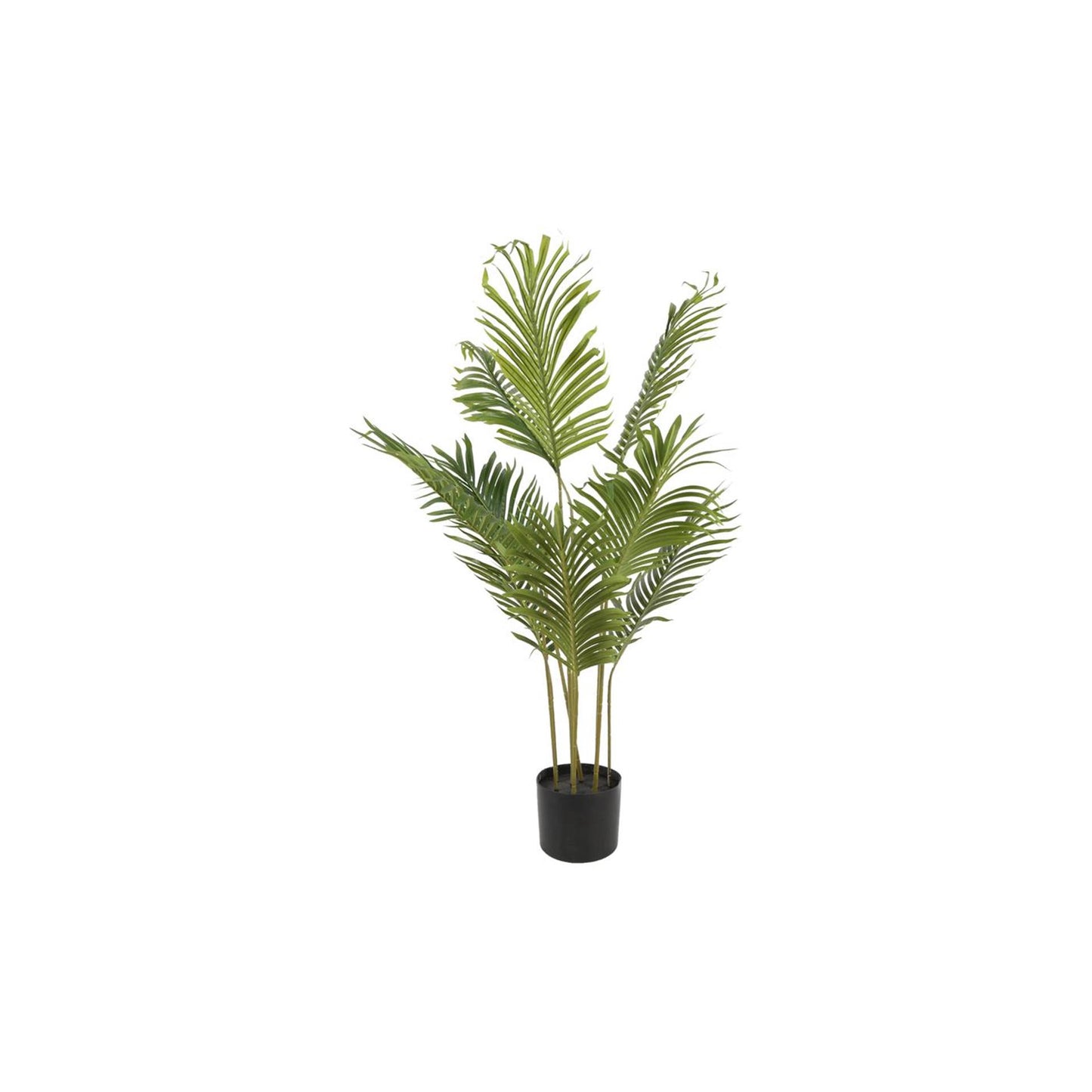Countryfield kunstplant kentia m groen dia.70xh100cm