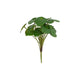 Countryfield kunstplant pilea 22x22xh25cm