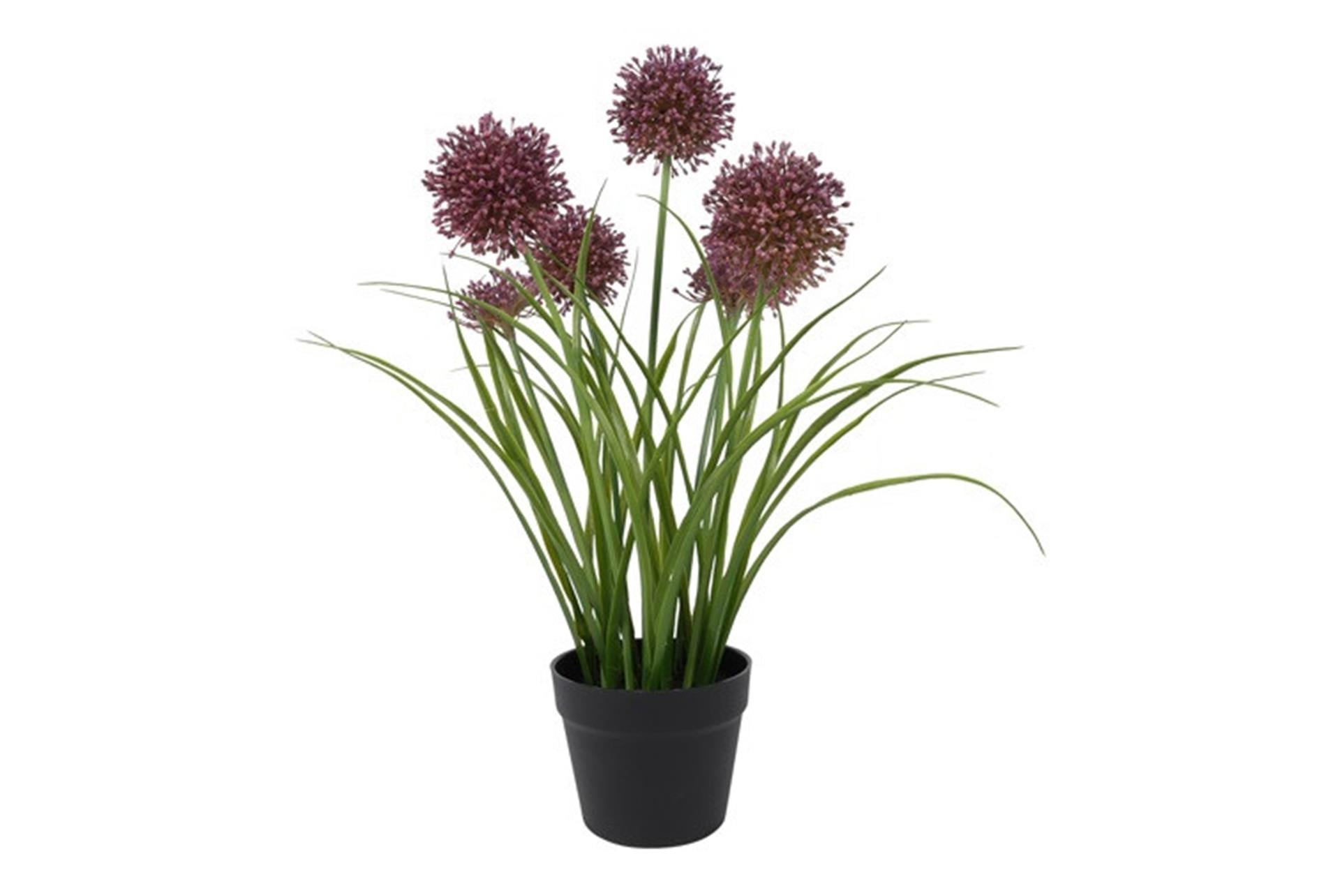 Countryfield kunst plant allium s paars 16x16xh60cm