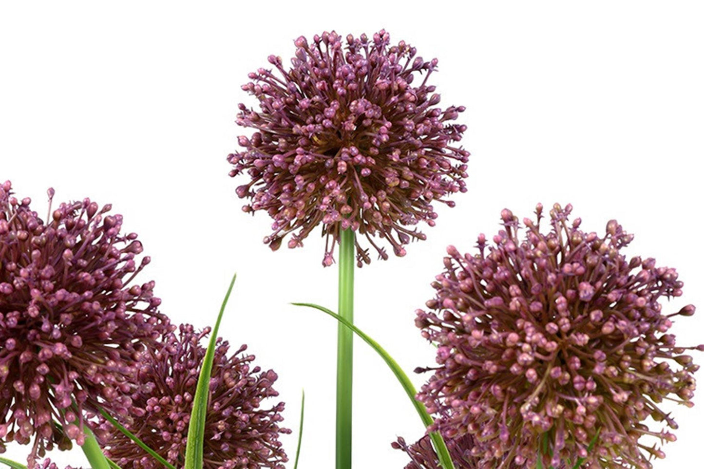 Countryfield kunst plant allium s paars 16x16xh60cm