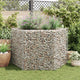 Vidaxl gabion plantenbak verhoogd zeshoekig 160x140x100 cm