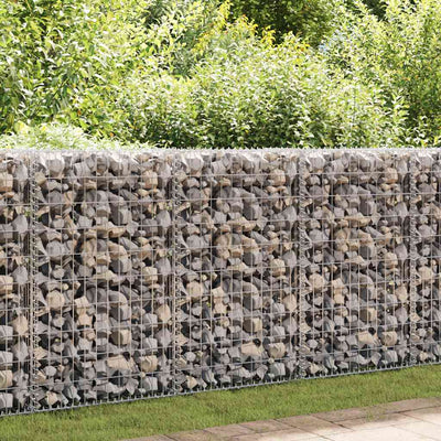 Vidaxl gabion mand 100x50x100 cm gegalvaniseerd staal