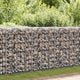 Vidaxl gabion mand 100x50x100 cm gegalvaniseerd staal
