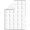 Vidaxl winterdekbedden 2 st 155x220 cm dons