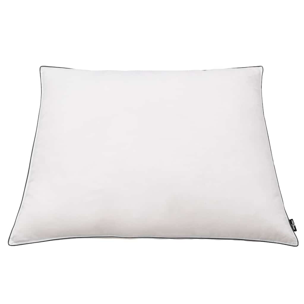 Vidaxl kussens 2 st licht 80x80 cm dons- verenvulling wit