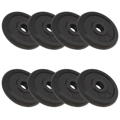 Vidaxl halterschijven 8 st 8x2,5 kg gietijzer
