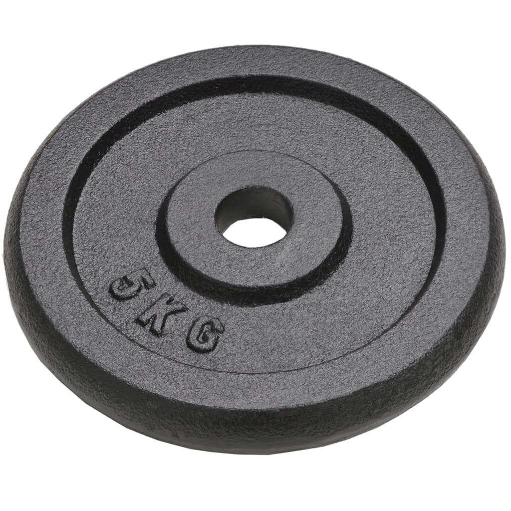 Vidaxl halterschijven 4 st 4x5 kg gietijzer